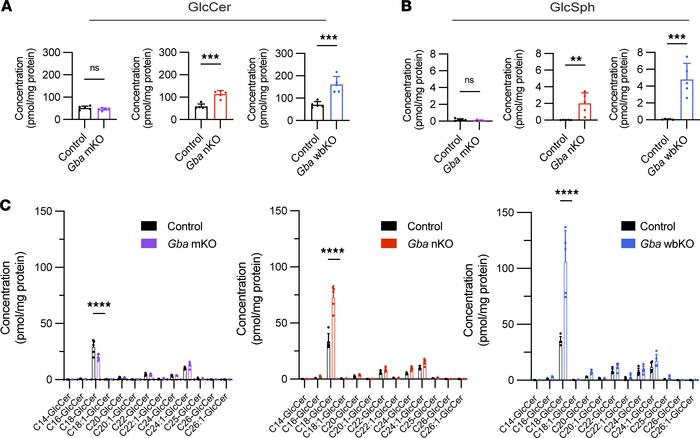 GlcCer and GlcSph levels are elevated in Gba-nKO and Gba-wbKO mice.
Gba-...