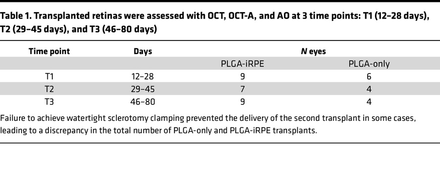 Transplanted retinas were assessed with OCT, OCT-A, and AO at 3 time poi...