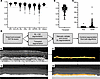 Development of DL networks for segmentation of OCT images.