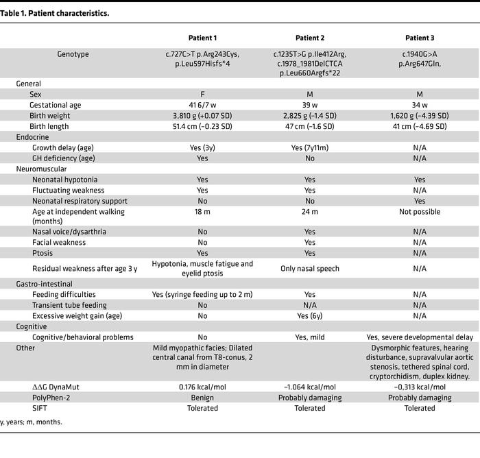 Patient characteristics.