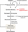 Model of the pathological role of carnitine deficiency in DKD.