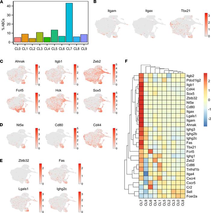 scRNA-Seq analysis identifies ABCs as a unique and distinct B cell popul...