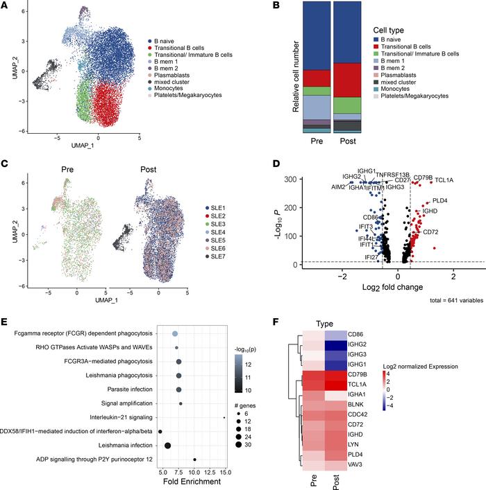 CD19 CAR T cell–mediated changes in B cell signature.
(A–F) scRNA-Seq–ba...