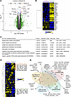 Transcriptome analysis of dermal fibroblasts from patients with spEDS revea