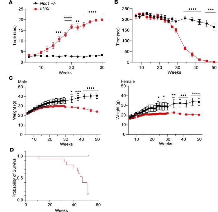 Humanized I1061T NPC1 mice exhibit age-dependent motor impairment, dimin...