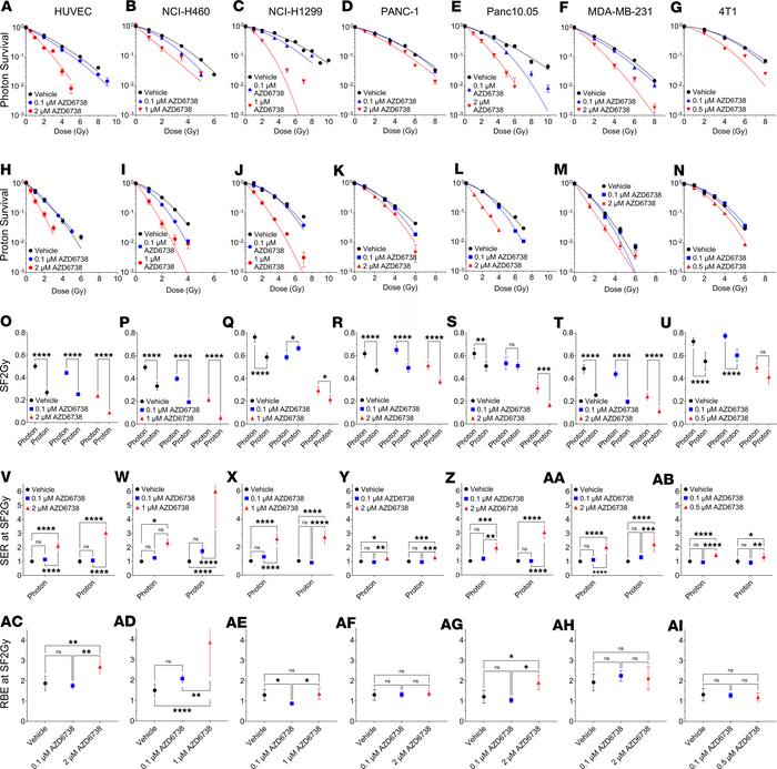AZD6738 is an effective radiosensitizer in vitro.
Survival in human umbi...