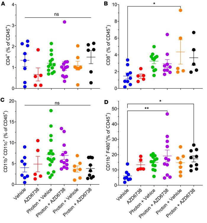 AZD6738 modulates the immune response to radiotherapy in the tumor micro...