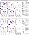 AZD6738 delays γH2AX and 53BP1 foci kinetics after irradiation, with proton