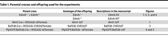 Parental crosses and offspring used for the experiments