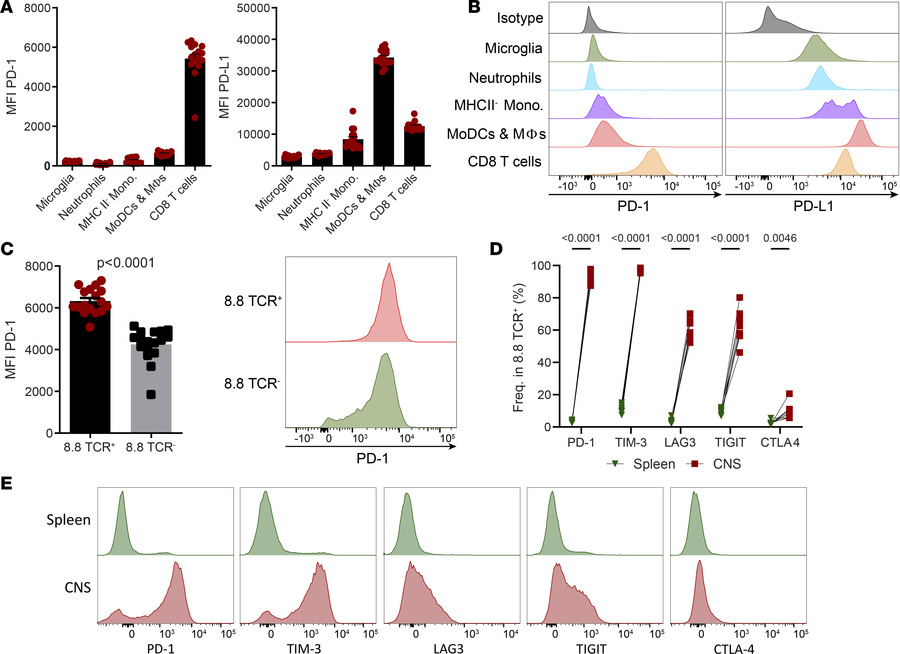 CD8 T cells in the CNS of mice with CD8 EAE express high levels of check...