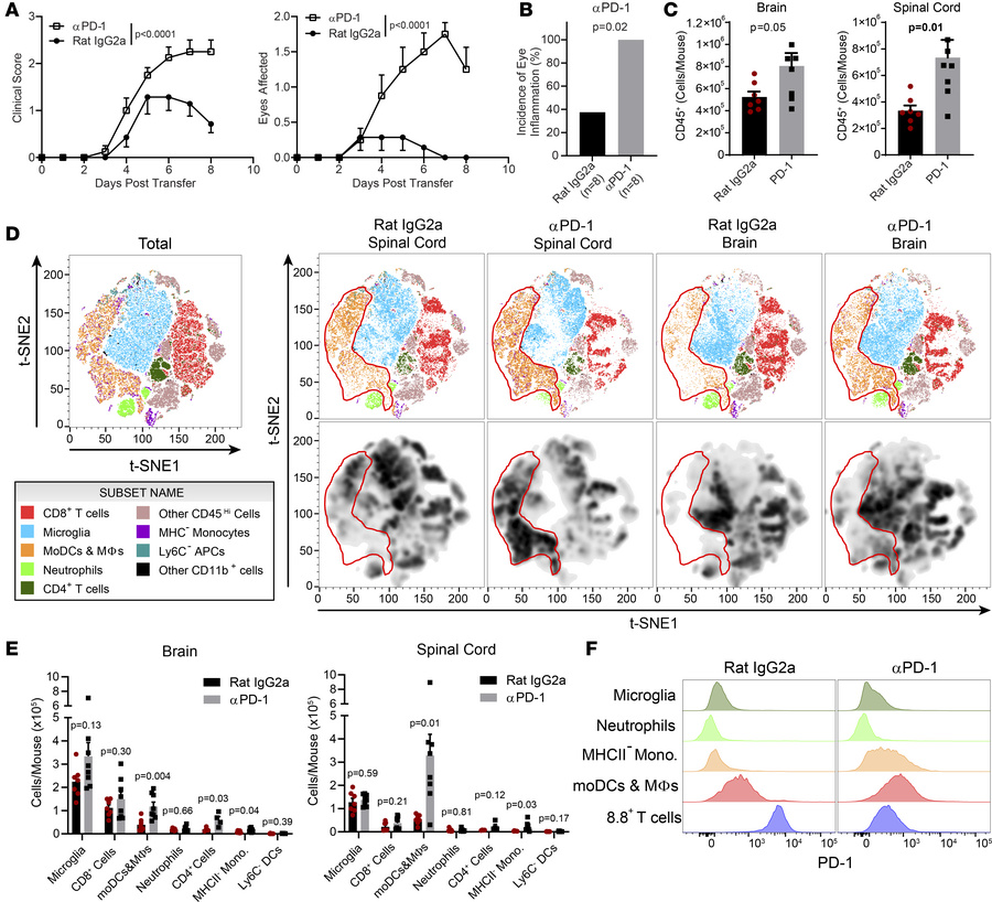 Blocking PD-1 signaling exacerbates CD8-EAE.
Recipient mice received 8.8...