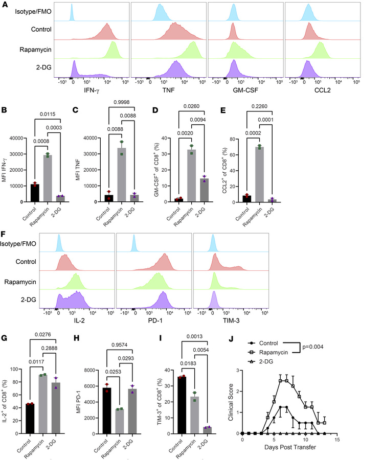 Rapamycin-treated 8.8 CD8 T cells induce more severe disease. The
8.8 CD...