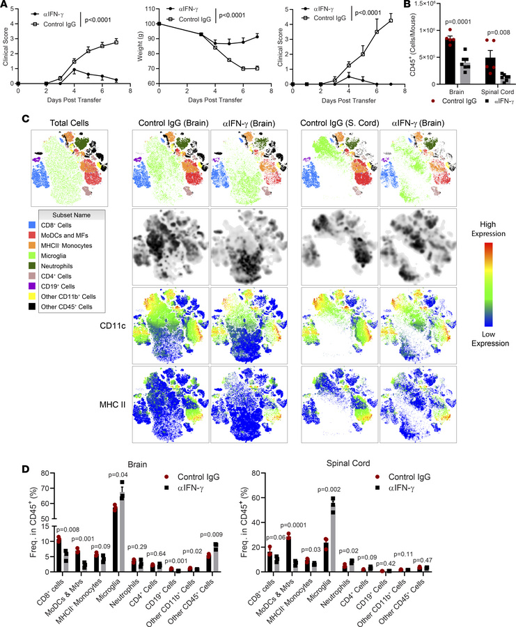 Blocking IFN-γ suppresses CD8-EAE.
CD8-EAE was induced by transfer of 2 ...