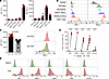 CD8 T cells in the CNS of mice with CD8 EAE express high levels of checkpoi