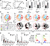 Blocking PD-1 signaling exacerbates CD8-EAE.
