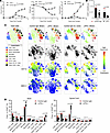 Blocking IFN-γ suppresses CD8-EAE.