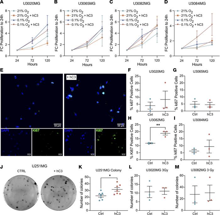 Limited effects of C3 on glioma cell growth under stressful conditions.
...