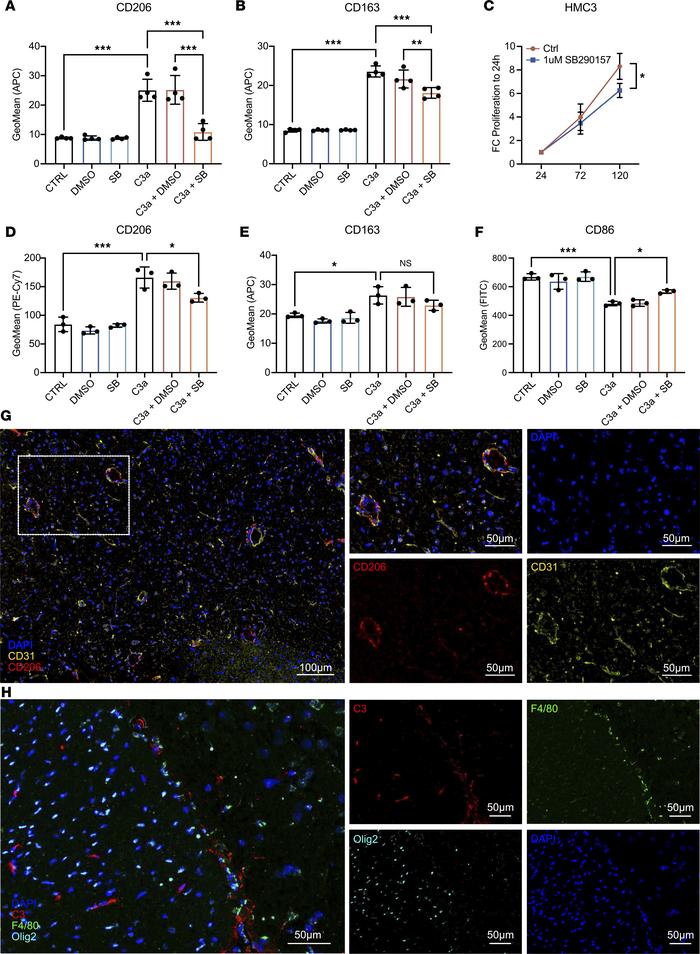 C3a promotes M2 polarization of microglia and macrophages.
(A and B) Flo...