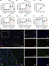 C3a promotes M2 polarization of microglia and macrophages.