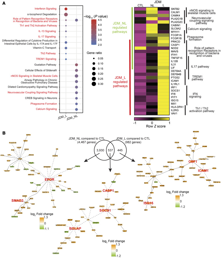 Biological signatures identified in JDM L and NL skin compared with CTL....