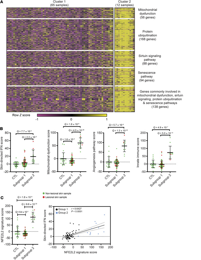 JCI Insight - Tape strip expression profiling of juvenile ...