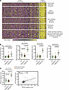 Unsupervised hierarchical clustering of skin expression data identifies sub