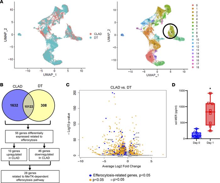 Single-cell RNA-sequencing analysis of myeloid cells reveals downregulat...