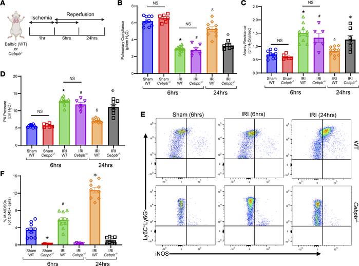 Increase in M-MDSCs is associated with the endogenous resolution of lung...