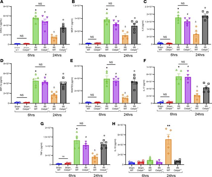 Pro-inflammatory cytokine expression was significantly increased in Cebp...