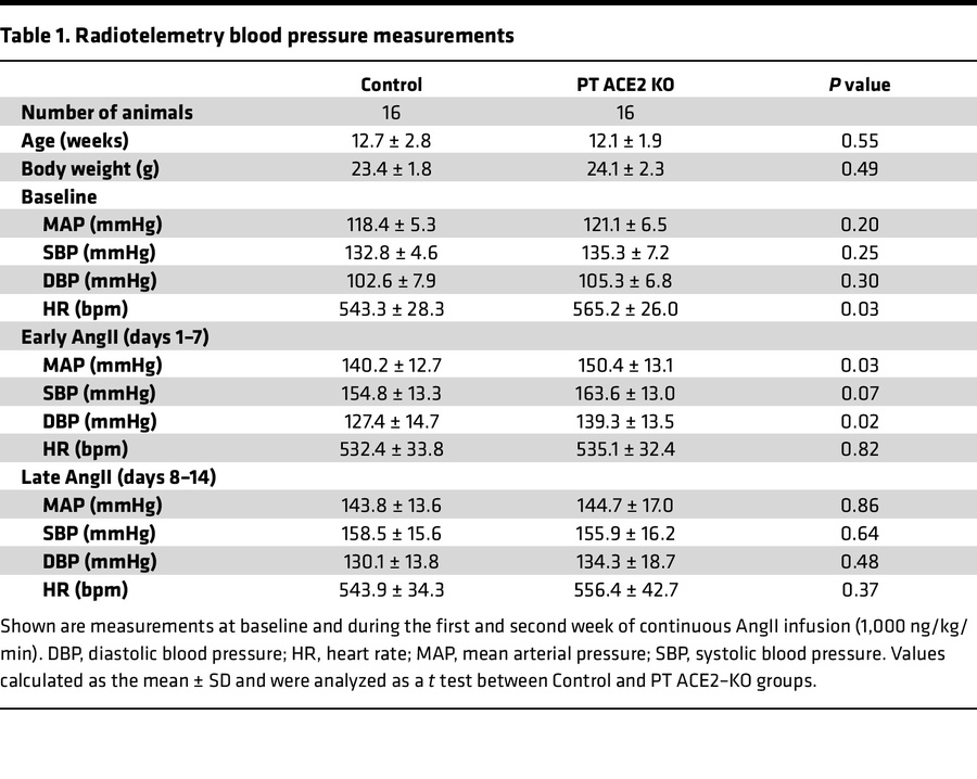 Radiotelemetry blood pressure measurements