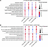 Differential pathway enrichment in PT ACE2–KO and Control mice.