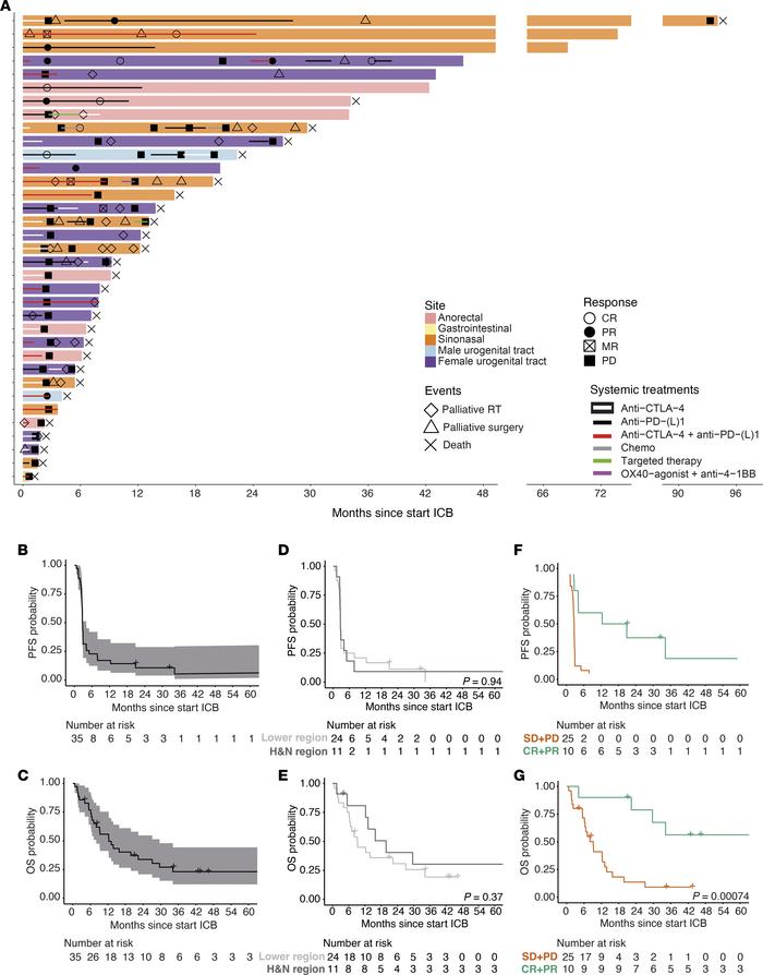 Swimmer plot, progression-free survival, and overall survival of the sub...