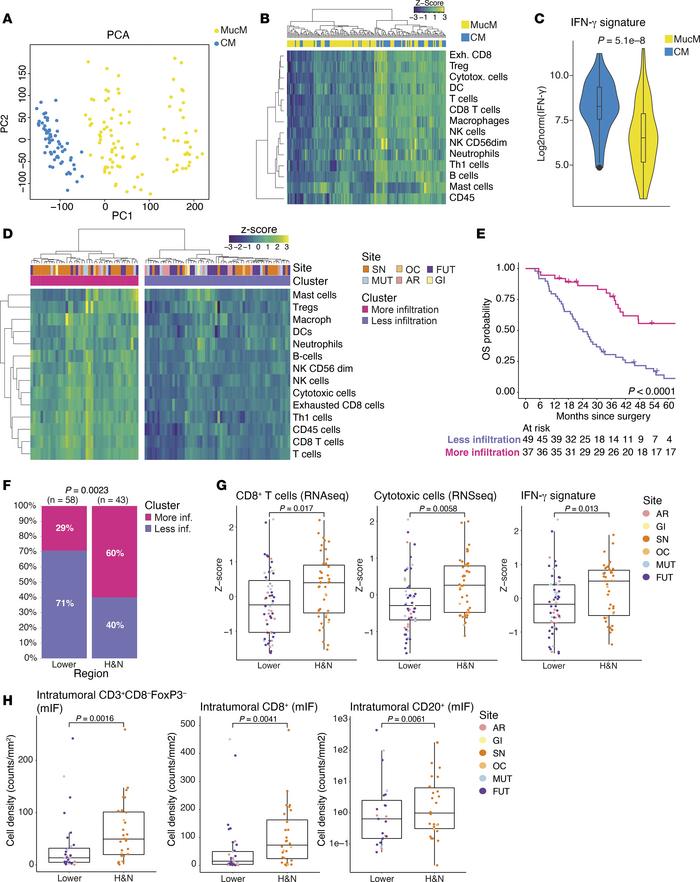 RNA-Seq– and mIF-based characterization of the MucM immune microenvironm...