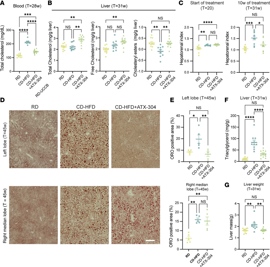 ATX-304 treatment decreases blood cholesterol and reduces liver lipid ac...