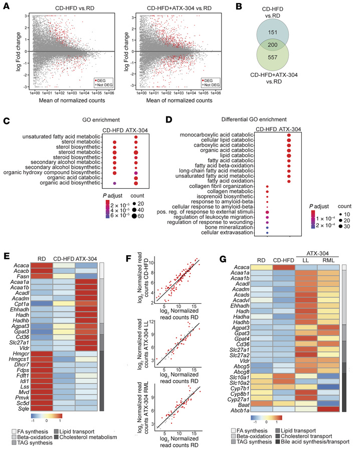 ATX-304 mediates a transcriptional switch in liver lipid metabolism.
(A)...