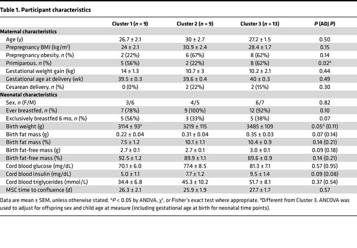Participant characteristics