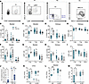 THP deficiency increases bladder neutrophil infiltration and reduces bacter
