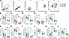 Neutrophil exDNA+ populations are decreased in THP-deficient mice during UT