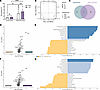 THP modestly alters neutrophil responses to PMA stimulation.