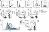 THP exposure increases NETosis in human neutrophils.