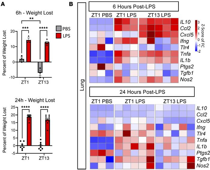 Absence of diurnal variation in peripheral immune activation at 6 or 24 ...
