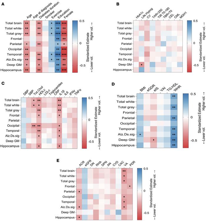 Associations of clinical characteristics with brain volumes in T1D (n = ...