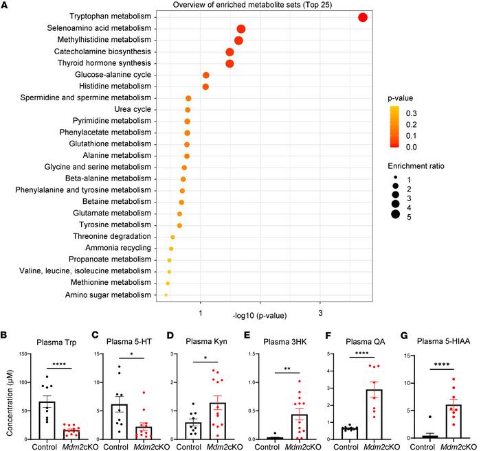 Plasma metabolomics highlight tryptophan metabolism in mice with rapid k...