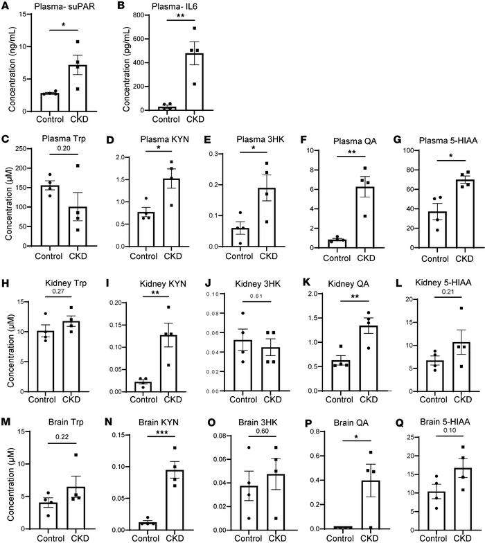 Ade-CKD alters systemic and tissue-specific Trp metabolism and inflammat...