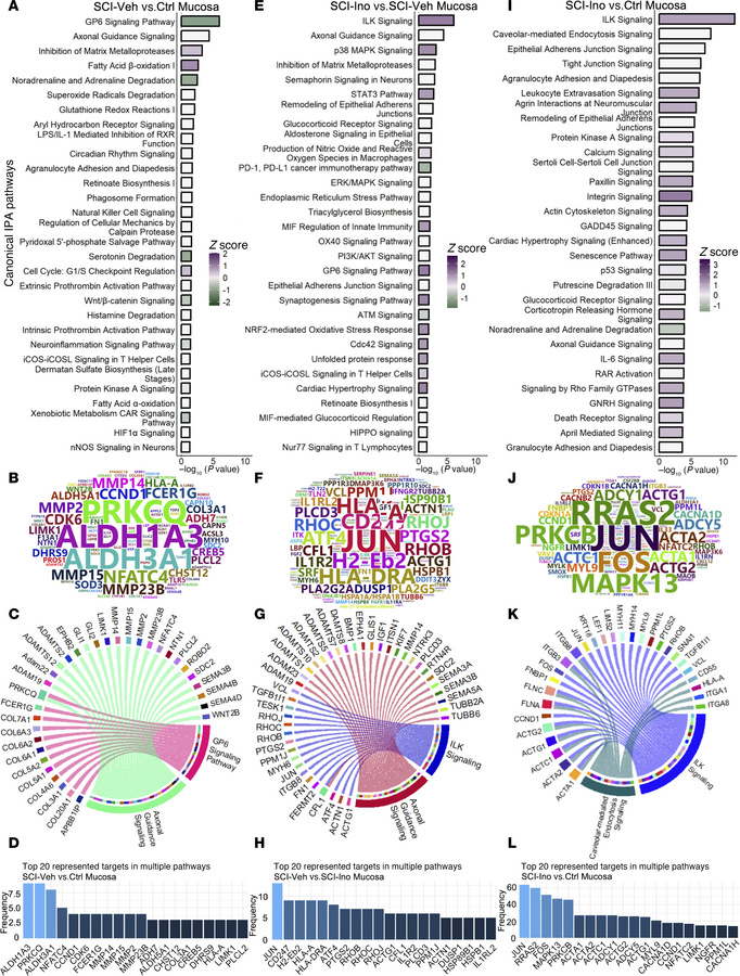 Regulated canonical pathways inferred by IPA in mucosa.
(A) Bar chart of...