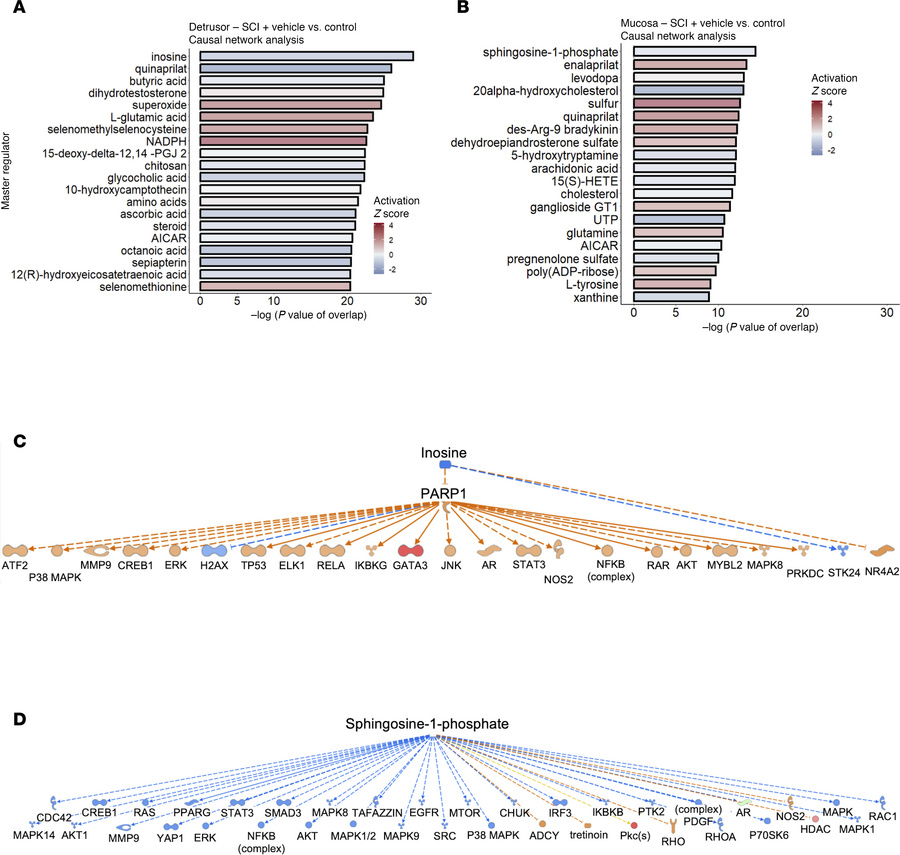 Causal network analysis of transcriptomic data from detrusor and mucosa....