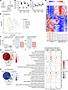 Effect of spinal cord injury over time on the transcriptome of the bladder.