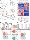 Effect of spinal cord injury and inosine treatment on transcriptome of blad