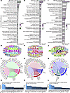 Regulated canonical pathways inferred by IPA in mucosa.