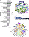 Regulated canonical pathways inferred by IPA of proteomics data.